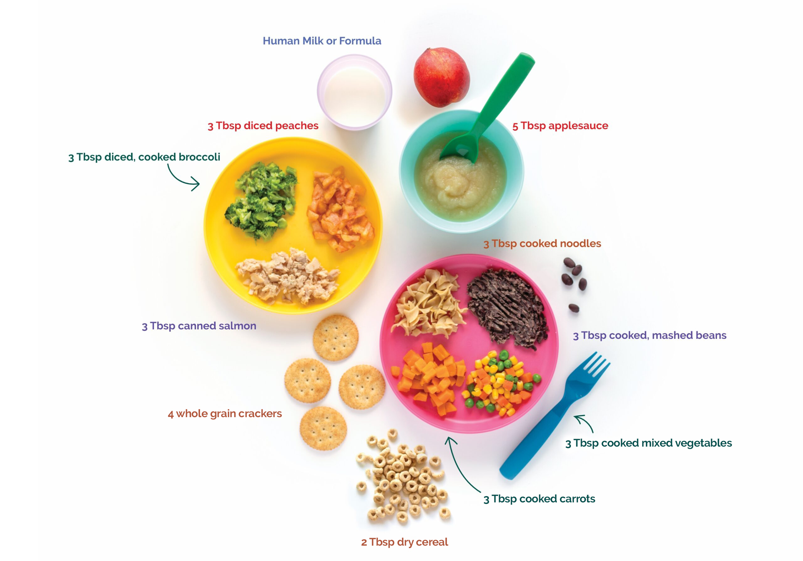 10-12 Month Vegetables